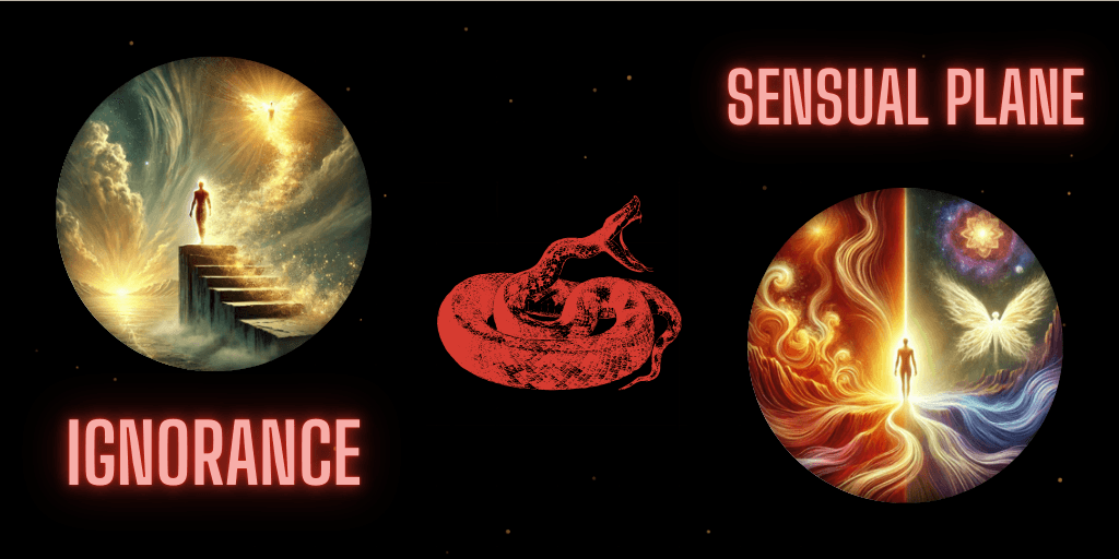 Snake: Ignorance to Sensual Plane